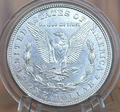 1921-D Morgan Dollar - Choose by Grade XF-BU - Denver Mint - 1921 Morgan Silver Dollar - 1921 Silver Dollar - 1921 D Morgan Dollar