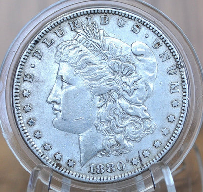 1880 Morgan Silver Dollar - Choose by Grade / Condition - Philadelphia Mint - 1880 No Mint Mark Silver Dollar 1880