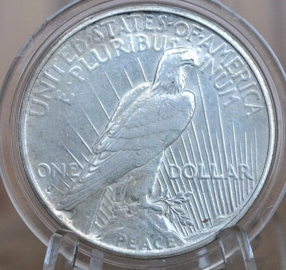 1935-S Peace Silver Dollar - Choose by Grade - San Francisco Mint - 1935 S Peace Dollar -Last Year Produced - 1935 S Silver Dollar