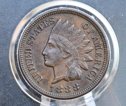 1888 Indian Head Penny - Choose by Grade / Condition - Indian Head Cent 1888
