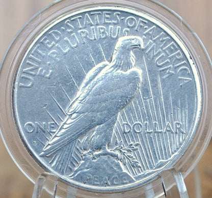 1925-S Peace Silver Dollar - Choose by Grade, VF-XF (Very to Extremely Fine) - San Francisco Mint - 1925 S Peace Dollar 1925 Silver Dollar