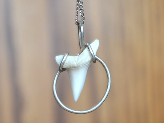 Shark Tooth Pendent set in Sterling Silver - Vintage Silver Necklace Pendent - Unique Piece, Lovely, Nautical Jewelry