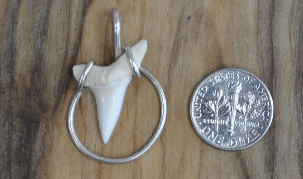 Shark Tooth Pendent set in Sterling Silver - Vintage Silver Necklace Pendent - Unique Piece, Lovely, Nautical Jewelry