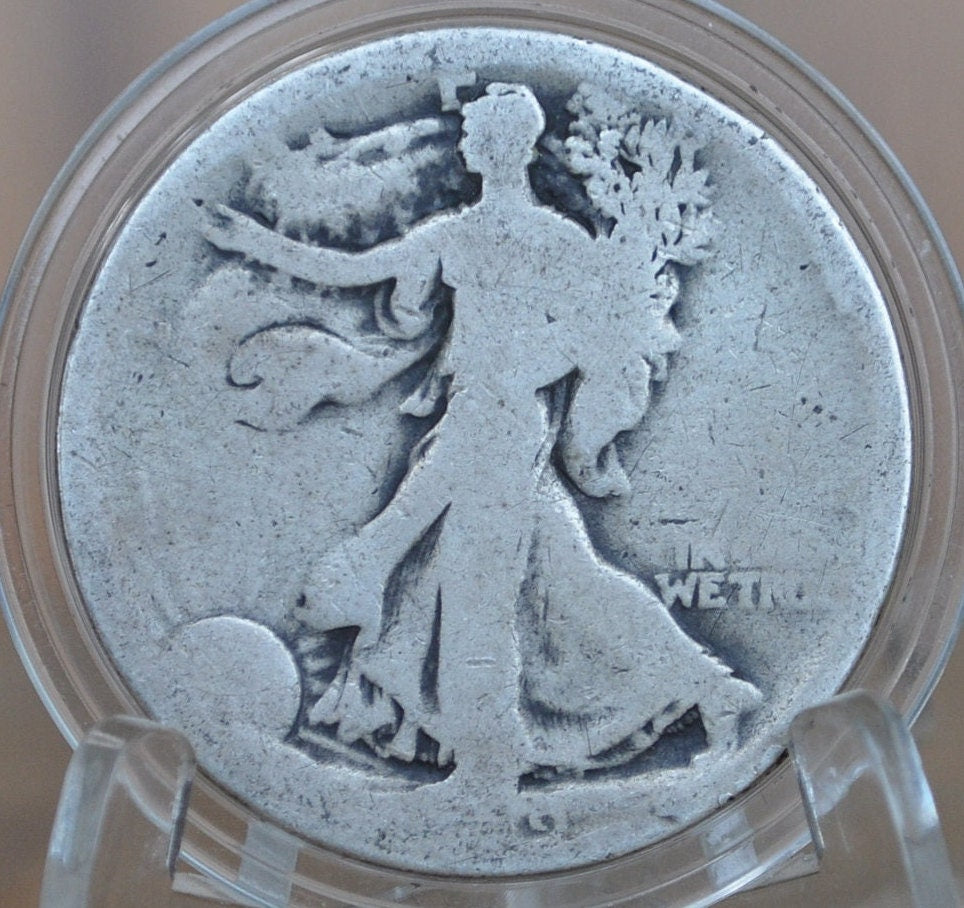 1919 Walking Liberty Half Dollar - Silver Half Dollar 1919 P - Philadelphia Mint 1919 P Wlh 1919 P Half Dollar, Key Date