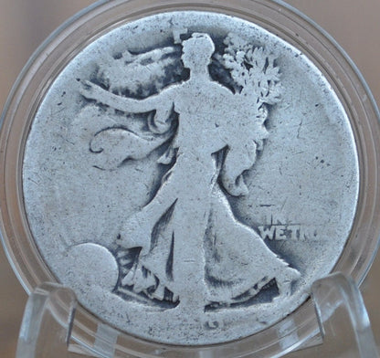 1919 Walking Liberty Half Dollar - Silver Half Dollar 1919 P - Philadelphia Mint 1919 P Wlh 1919 P Half Dollar, Key Date
