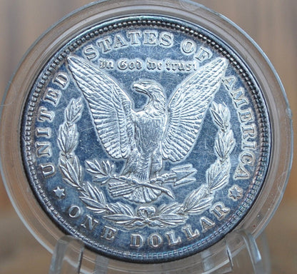 1879 Morgan Silver Dollar - Uncirculated Details, Cleaned - Second Year of Production - 1879 Morgan Dollar Silver Dollar