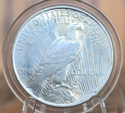 1924 Peace Silver Dollar - Choose by Grade XF-MS63 - 1924 P Silver Dollar - 1924 Silver Dollar Peace 1924 P - Philadelphia Mint