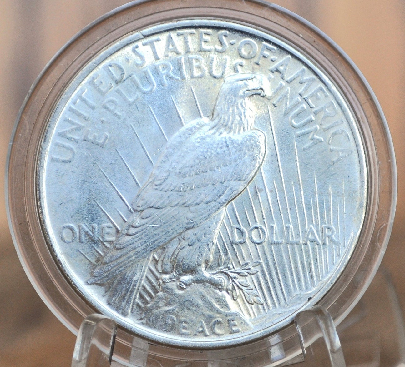 1924 Peace Silver Dollar - Choose by Grade XF-MS63 - 1924 P Silver Dollar - 1924 Silver Dollar Peace 1924 P - Philadelphia Mint