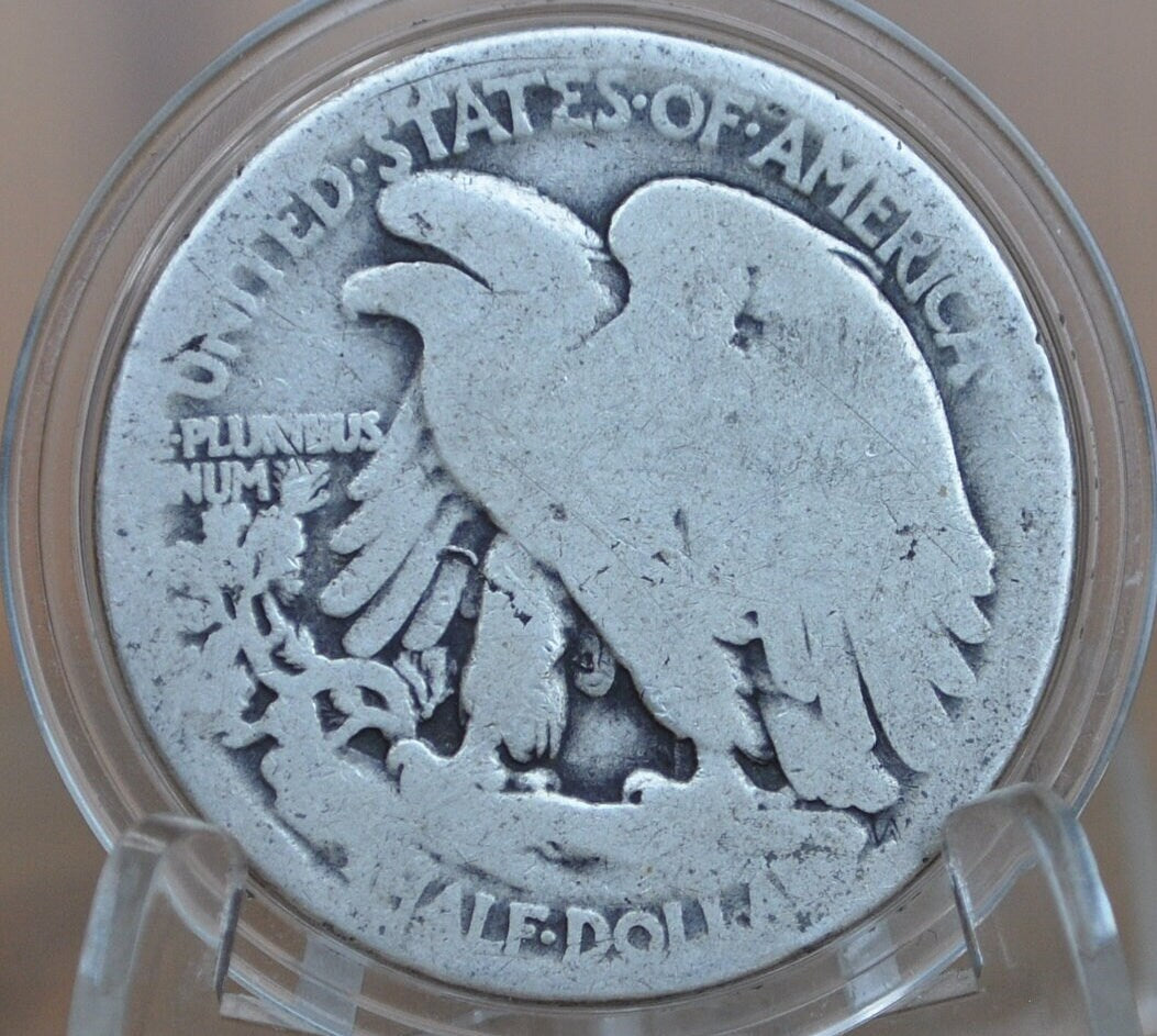 1919 Walking Liberty Half Dollar - Silver Half Dollar 1919 P - Philadelphia Mint 1919 P Wlh 1919 P Half Dollar, Key Date