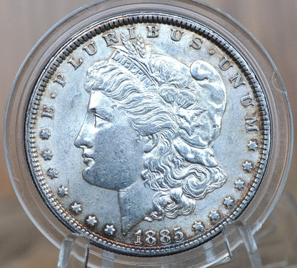 1885 Morgan Silver Dollar - XF-BU (Extremely Fine to Uncirculated [MS60+]), Choose by Grade 1885 P Morgan Dollar 1885 Silver Dollar