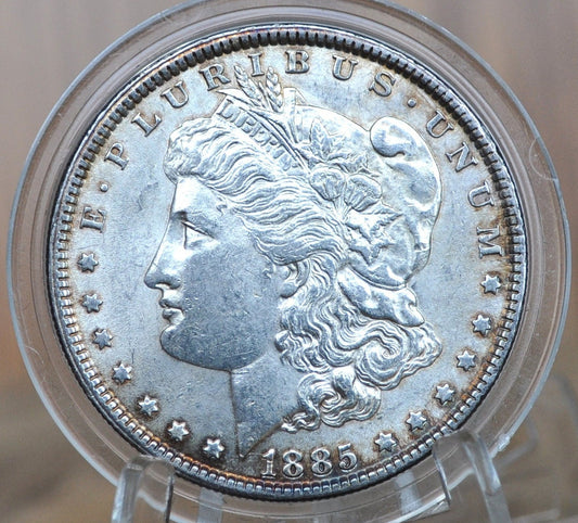 1885 Morgan Silver Dollar - XF-BU (Extremely Fine to Uncirculated [MS60+]), Choose by Grade 1885 P Morgan Dollar 1885 Silver Dollar
