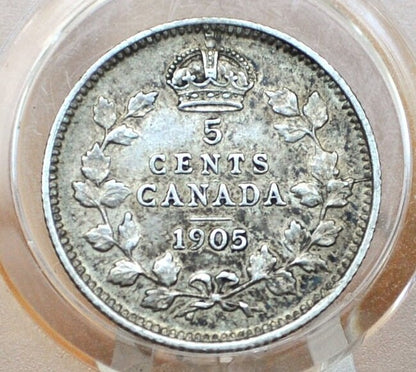 1905 Canadian Silver 5 Cent Coin - VF (Very Fine) Condition - King George - Canada 5 Cent Sterling Silver 1905 Canada - Lower Mintage