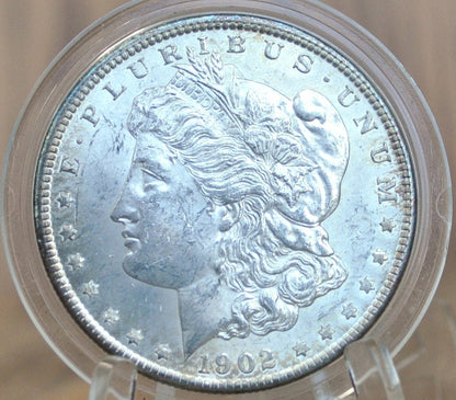 1902-O Morgan Silver Dollar - Choose by Grade / Condition - 1902 O Morgan Dollar 1902 Silver Dollar New Orleans Mint
