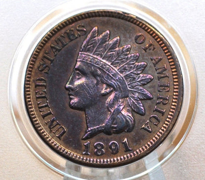 1891 Indian Head Penny - Choose by Grade / Condition - Indian Head Cent 1891 - 1891 US One Cent - Higher Grades