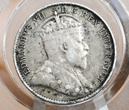 1904 Newfoundland 5 Cent, Sterling, Rare, Only 100,000 minted, VF/XF Grade/Condition, Silver 5 Cents Newfoundland 1904