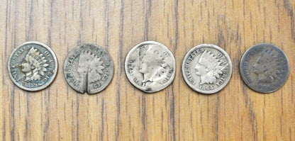 Lot of Indian Head Cents - Dates: 1859, 1863, 1864, 1864, 1884, Indian Head Cent Lot Qty 5 - Great Dates, Varying Conditions - Great Deal!