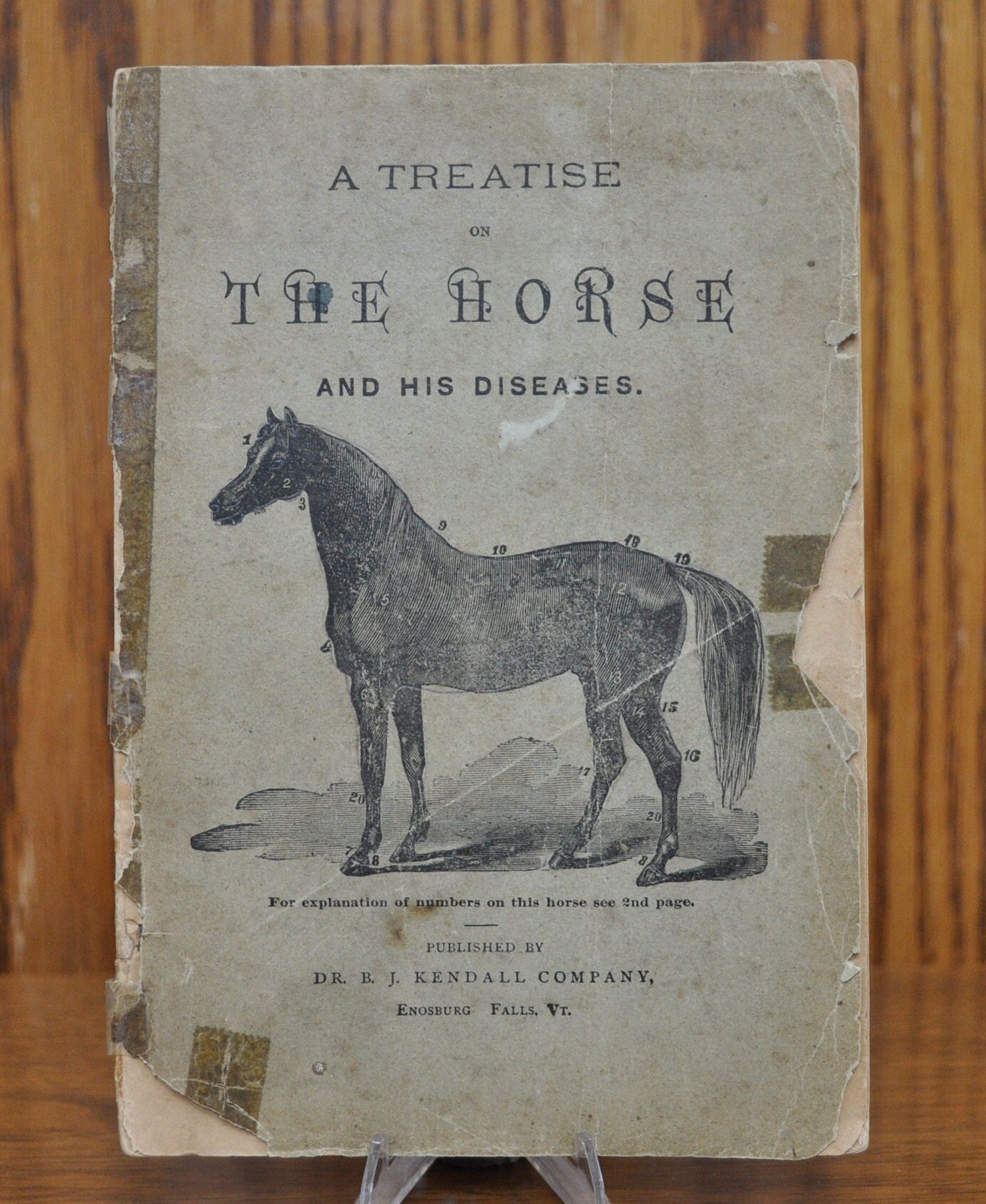 1905 A Treatise on The Horse and His Diseases by Dr. B. J. Kendall - Vintage Medical Book - Enosburg Falls, VT - Dr. B.J. Kendall Company