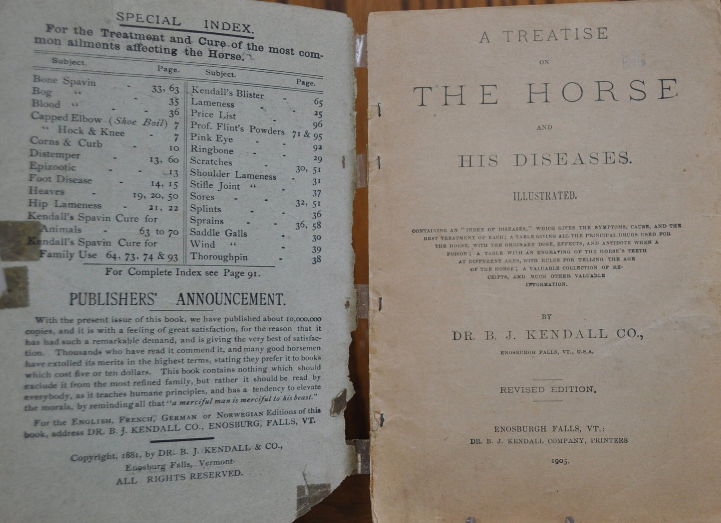 1905 A Treatise on The Horse and His Diseases by Dr. B. J. Kendall - Vintage Medical Book - Enosburg Falls, VT - Dr. B.J. Kendall Company