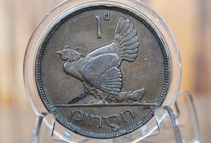 1933 Irish 1 Penny Coin - Rarer Date! - Ireland 1933 One Penny Ireland - Hen with Chicks Design Irish Coins - Gaelic Writing, Harp Coin