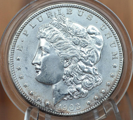 1903 Morgan Silver Dollar - Choose by Grade - 1903 P Morgan Dollar - Silver Dollar 1903 P - High Grades