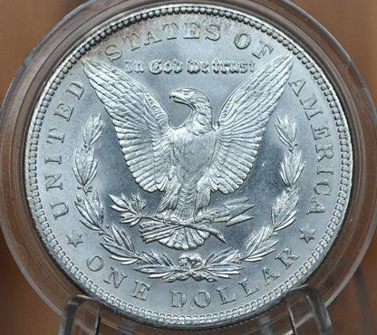 1903 Morgan Silver Dollar - Choose by Grade - 1903 P Morgan Dollar - Silver Dollar 1903 P - High Grades