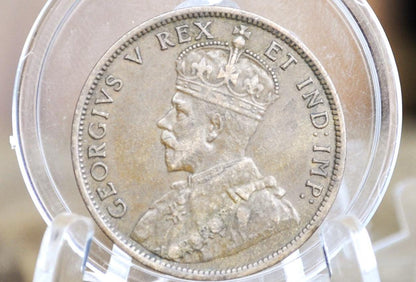 1914 Canadian Large Cent - Choose by Grade / Condition - King George V - One Cent Canada 1914 Cent 1914 Large Canadian Cent
