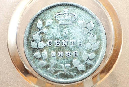 1888 Canadian Silver 5 Cent Coin - XF (Extremely Fine) Grade, Low Mintage Date - Queen Victoria Canada 5 Cent Sterling Silver 1888