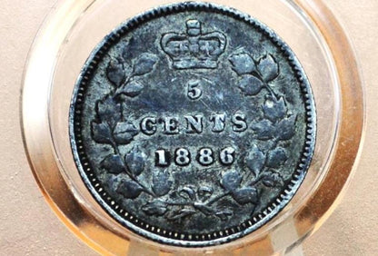 1886 Canadian Silver 5 Cent Coin - Choose by Coin / Grade! - Queen Victoria - Canada 5 Cent Sterling Silver 1886 Canada Five Cent Silver