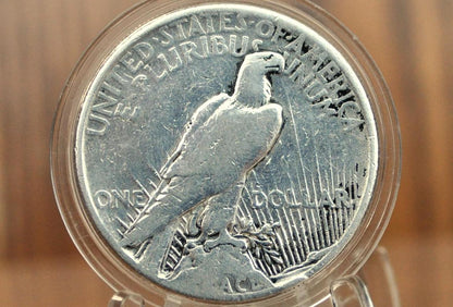 1921 Peace Silver Dollar - Great Detail, Cleaned - 1921 High Relief Peace Dollar Silver - Rarer Coin