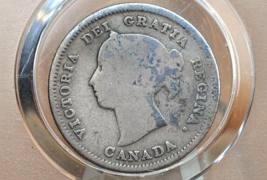 1883 Canadian Silver 5 Cent Coin - F+ (Fine Plus) - Queen Victoria - Canada 5 Cent Sterling Silver 1883 Canada