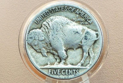 1919 Buffalo Nickel - VG-VF (Very Good to Very Fine); Choose by Grade - Philadelphia Mint - Clear Date - 1919P / 1919-P Indian Head Nickel