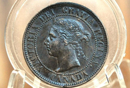 1884 Canadian Cent - Choose by Coin / Grade, Nice Coin - 1884 Penny Canada 1 Cent 1884