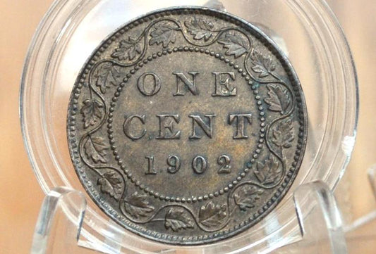 1902 Canadian Cent - VF-XF (Very to Extra Fine) Grade / Condition - King George V - One Cent Canada 1902 Canadian 1 Cent - 1902 Large Penny