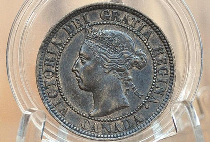 1896 Canadian Cent - VF (Very Fine) Condition - Queen Victoria - One Cent Canada 1896 Large Cent - 1896 Large Cent