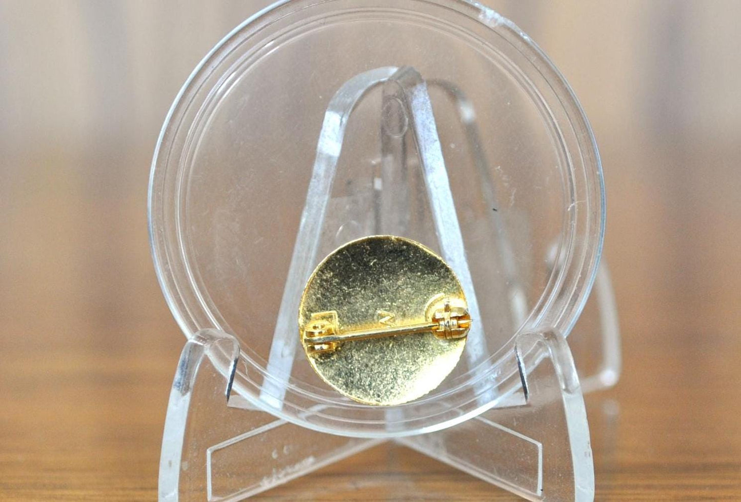 Amazing Red Cross Water Safety Instructor Pin - Collectible American Red Cross Pin Water Safety Instructor - American Red Cross Antique