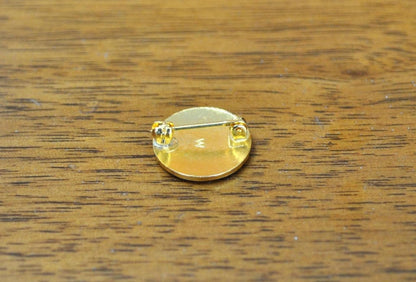 Amazing Red Cross Water Safety Instructor Pin - Collectible American Red Cross Pin Water Safety Instructor - American Red Cross Antique