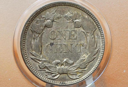 1857 Flying Eagle Penny - Choose by Grade / Condition - Great Date - Rare Penny Type - Two years of production - 1857 Cent - 1857 Penny