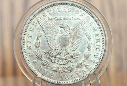 1891 Morgan Silver Dollar - Choose by Grade / Condition - 1891 P Morgan Dollar - 1891 Silver Dollar Philadelphia Mint -