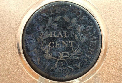 1804 Half Cent Plain 4 No Stems - VG+ Details - 1804 Draped Bust Half Cent 1804 Half Cent Stemless Regular 4 -Early American Coin
