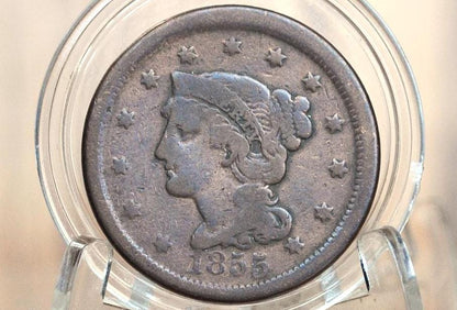 1855 Braided Hair Large Cent - VF (Very Fine) Grade / Condition - 1855 Coronet Cent - 1855 US Large Cent - Braided Hair Upright 5