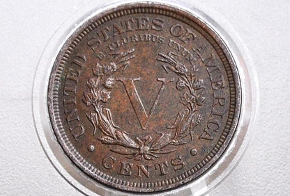 1909 Liberty Head Nickel - 1909 V Nickel - 1909 P Nickel - Choose by Grade