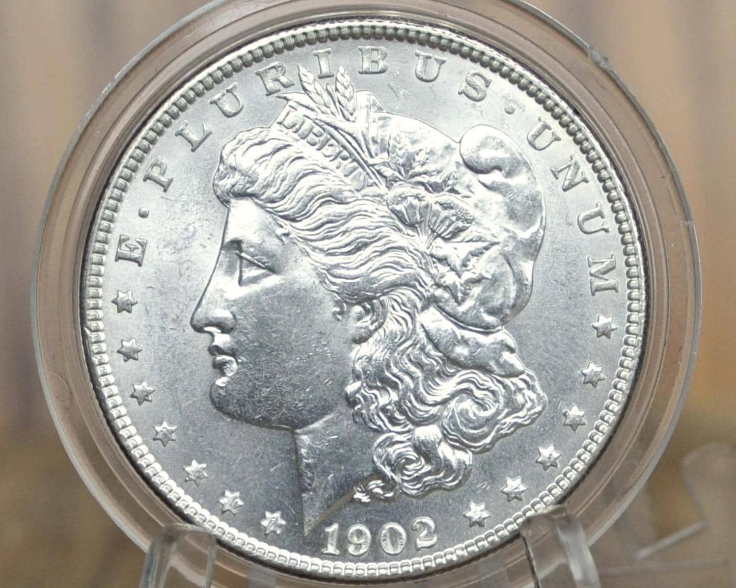 1902 Morgan Silver Dollar - Choose by Grade / Condition - 1902-P Morgan Dollar - 1902 Silver Dollar - No Mint Mark