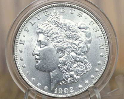 1902 Morgan Silver Dollar - Choose by Grade / Condition - 1902-P Morgan Dollar - 1902 Silver Dollar - No Mint Mark