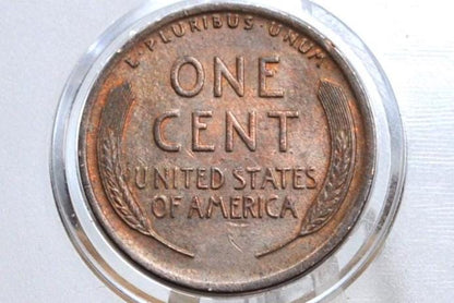 1916 Wheat Penny - Choose by Grade VG-XF (Very Good to Extremely Fine) - Philadelphia Mint - World War I Era Coin - 1916 wheat Ear Cent
