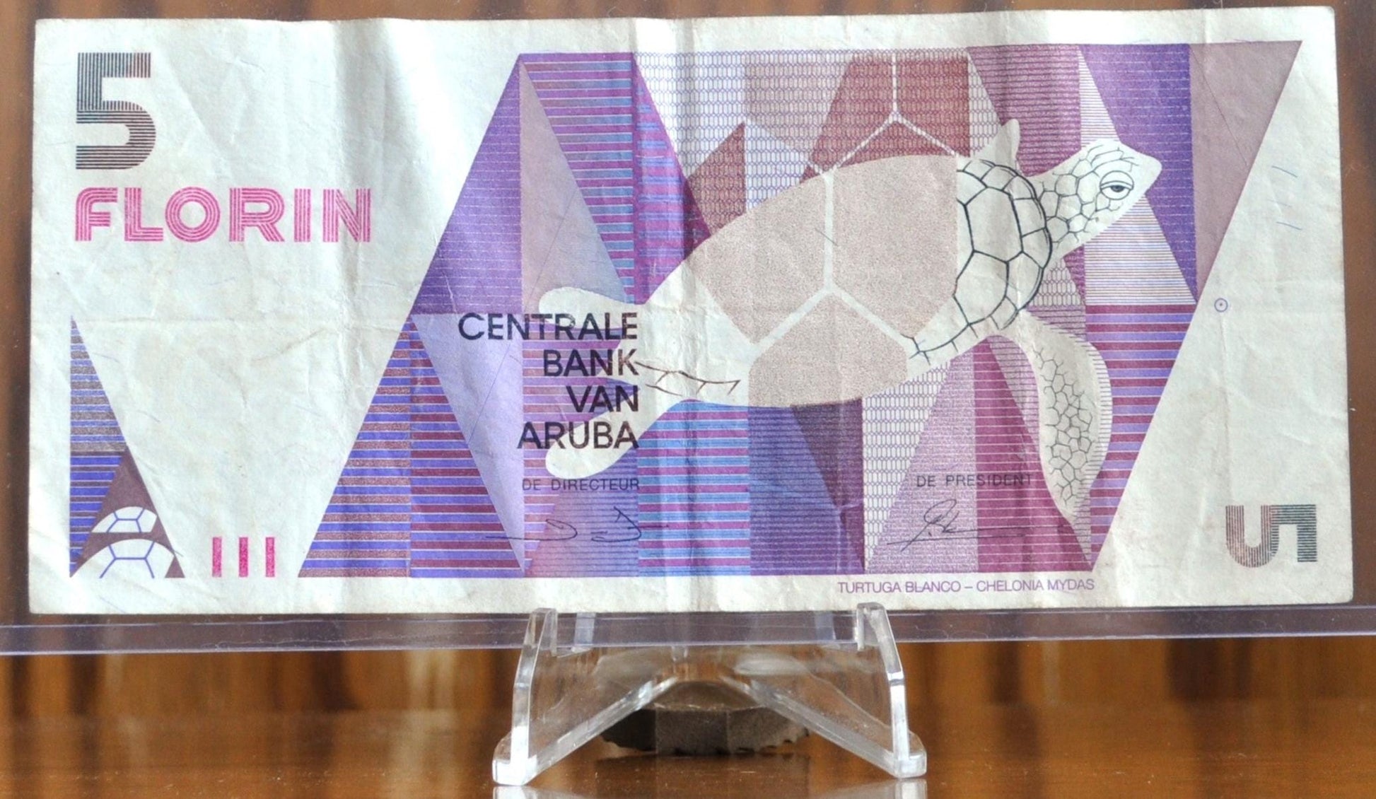 1990 Central Bank of Aruba 5 Florin Note - Geometric Sea Turtle Issue - XF Grade - 1990 Carribean Aruba Five Florin Note - P#6