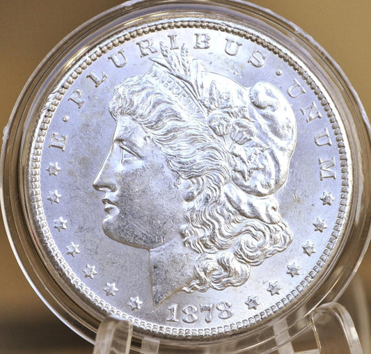 1878 Morgan Silver Dollar - Seven Feathers - Choose by Grade - 1878 Seven Feathers - 7 Feather Design 1878 P Morgan Silver