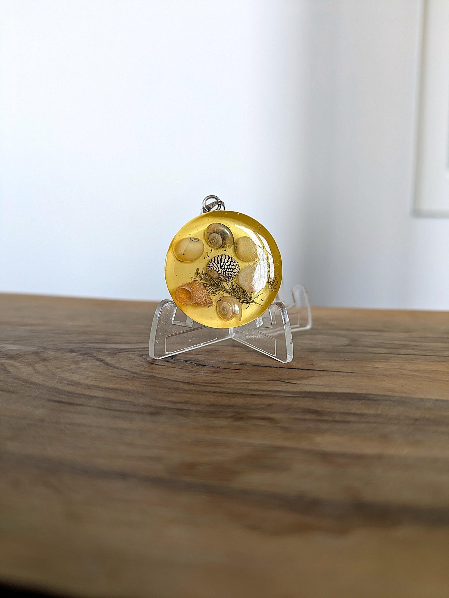 Maritime Sterling Silver Lucite Acrylic Seashell and Seagrass Circle Charm - Acrylic Lucite Seashell Charm - Lucite Encased Seashells