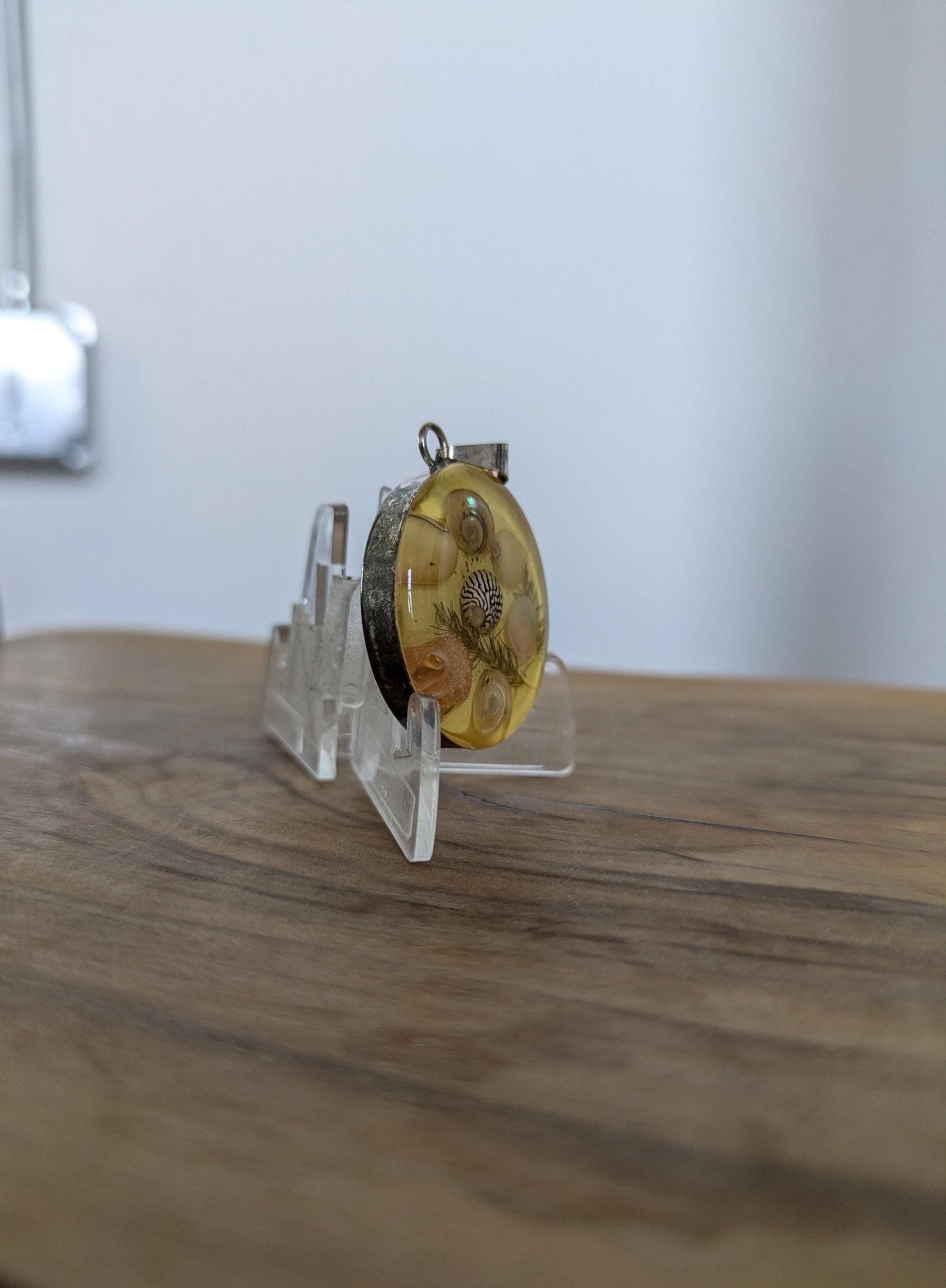 Maritime Sterling Silver Lucite Acrylic Seashell and Seagrass Circle Charm - Acrylic Lucite Seashell Charm - Lucite Encased Seashells