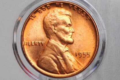 1955 P,D,S Wheat Penny - AU/BU - San Francisco, Philadelphia, Denver Mints - Collectible Coin - 1955 S Wheat Cent 1955 D 1955 P Lincoln Cent