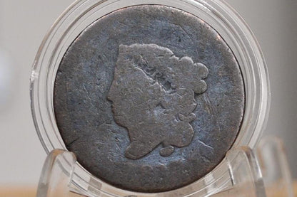 1817 Large Cent 13 Stars - Cull / Corrosion - US Large Cent - 1817 Coronet Liberty Head Large Cent - Thirteen Stars - 1817 Matron Cent